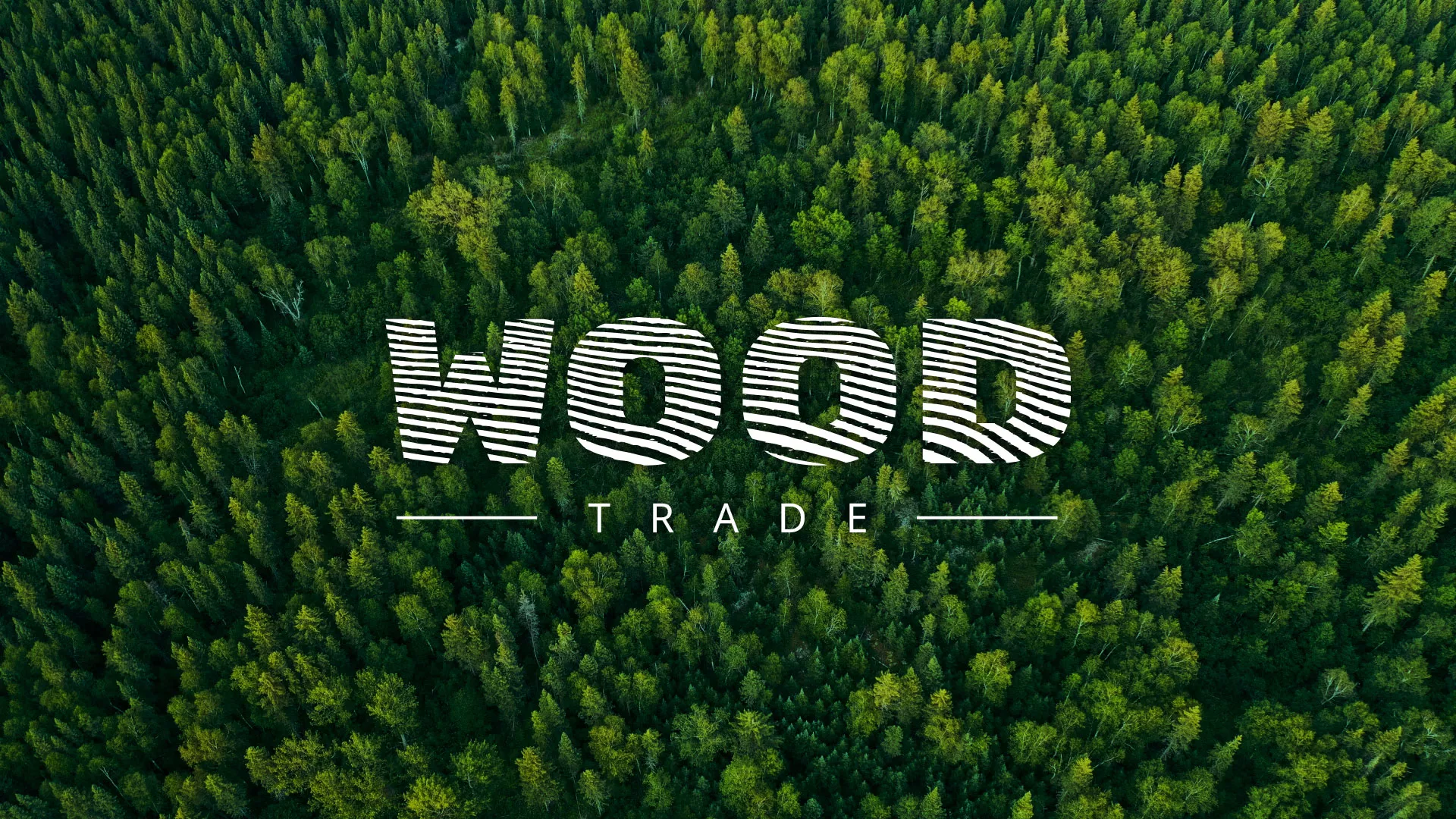 Разработка интернет-магазина компании «Wood Trade» в Дзержинске